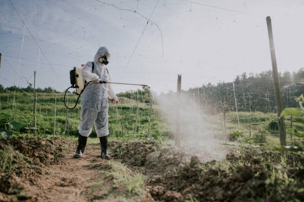 Best Pest Control Treatment  in Edinboro, PA