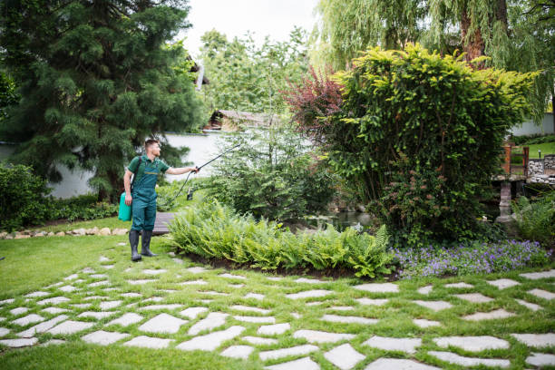 Best Insect Control  in Edinboro, PA