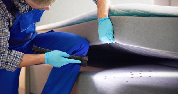 Best Cockroach Control Services  in Edinboro, PA
