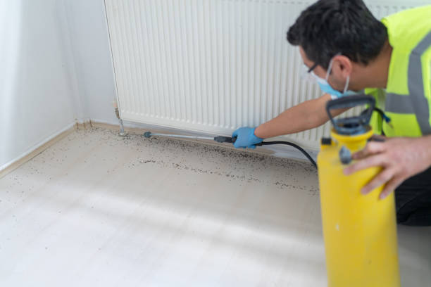 Pest Control for Restaurants in Edinboro, PA