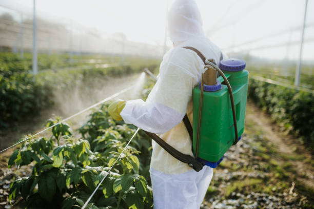 Best Emergency Pest Control  in Edinboro, PA